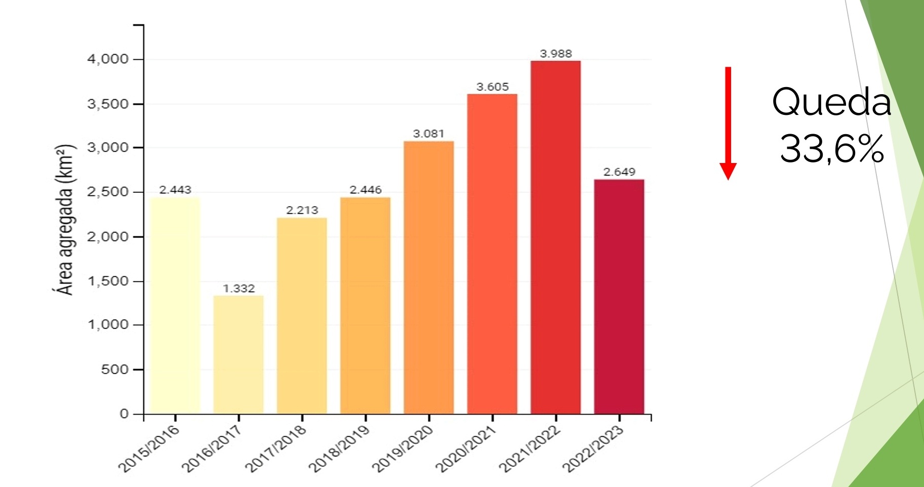 Amazon ormanlarında ağaçların kesimi 2023’te düştü