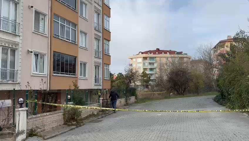 Büyükçekmece'de bir binanın önünde el bombası bulundu - 1