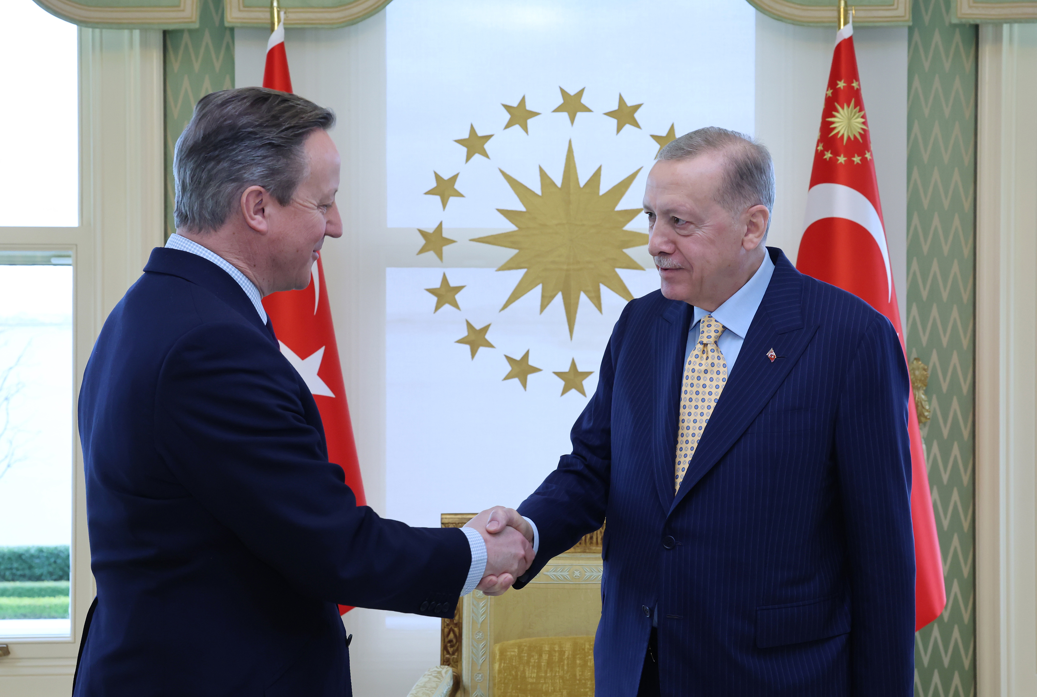  Cumhurbaşkanı Erdoğan, Cameron'u kabul etti