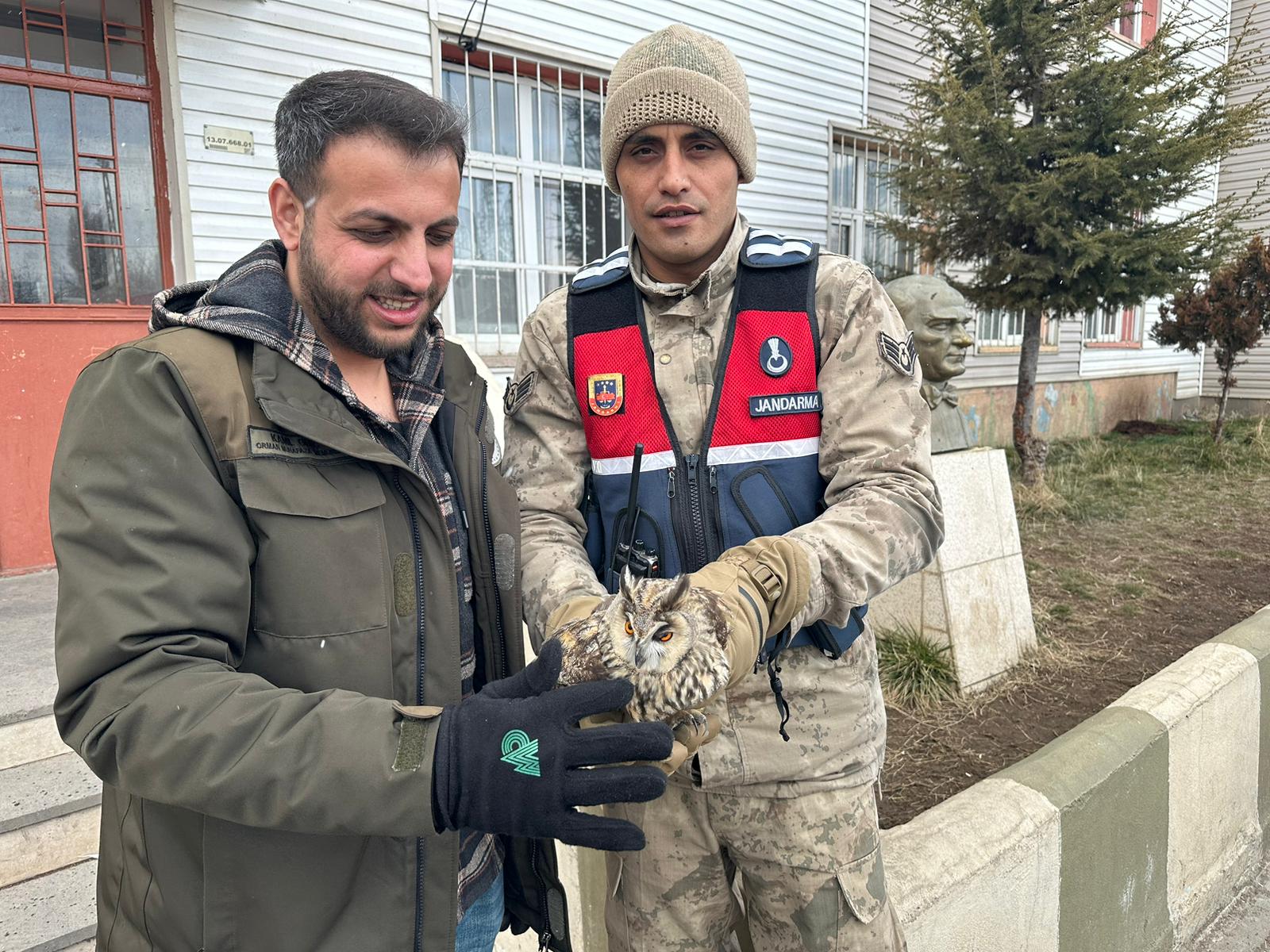 Jandarmanın bulduğu yaralı puhu, tedaviye alındı