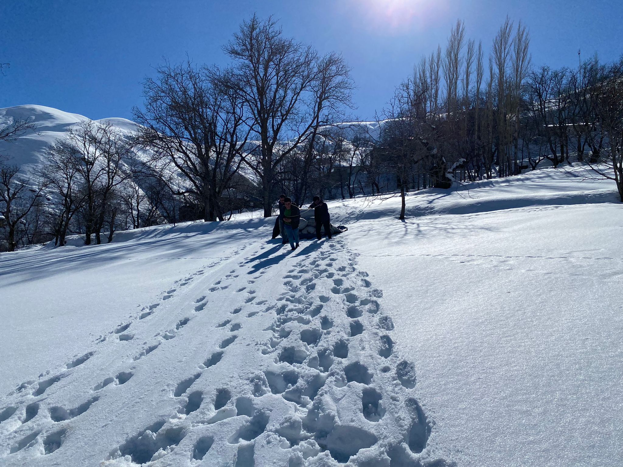 Kar altında kalan samanları çıkartıp, hayvanları için taşıdılar