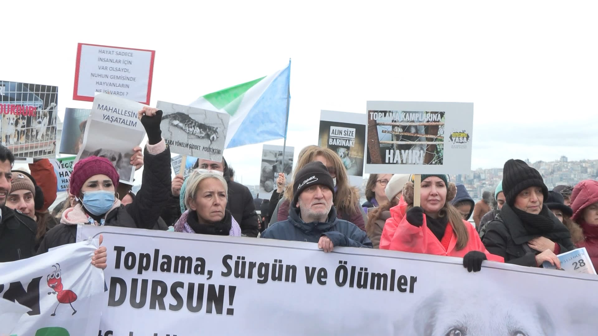 Üsküdar'da sokak hayvanları için eylem